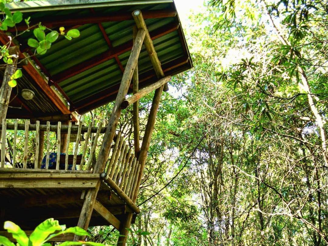Waterbessiebos Cottage Tzaneen Exterior photo