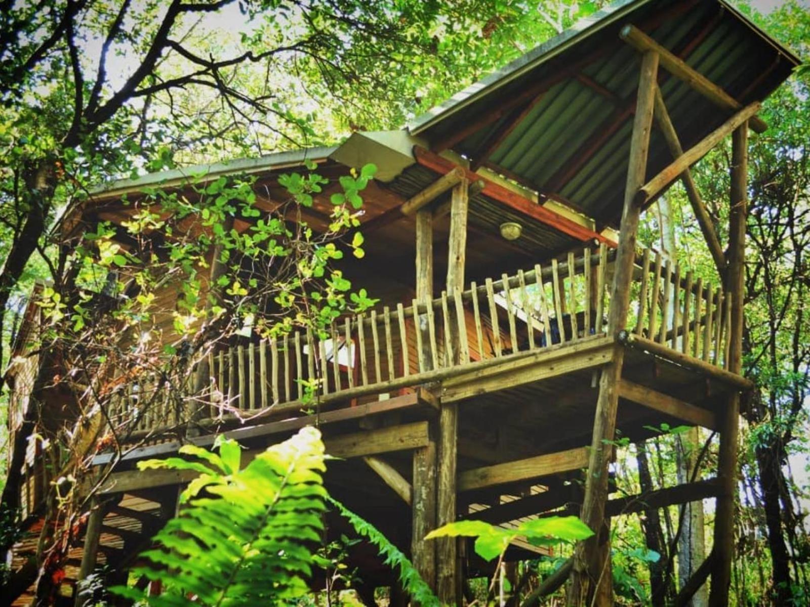 Waterbessiebos Cottage Tzaneen Exterior photo